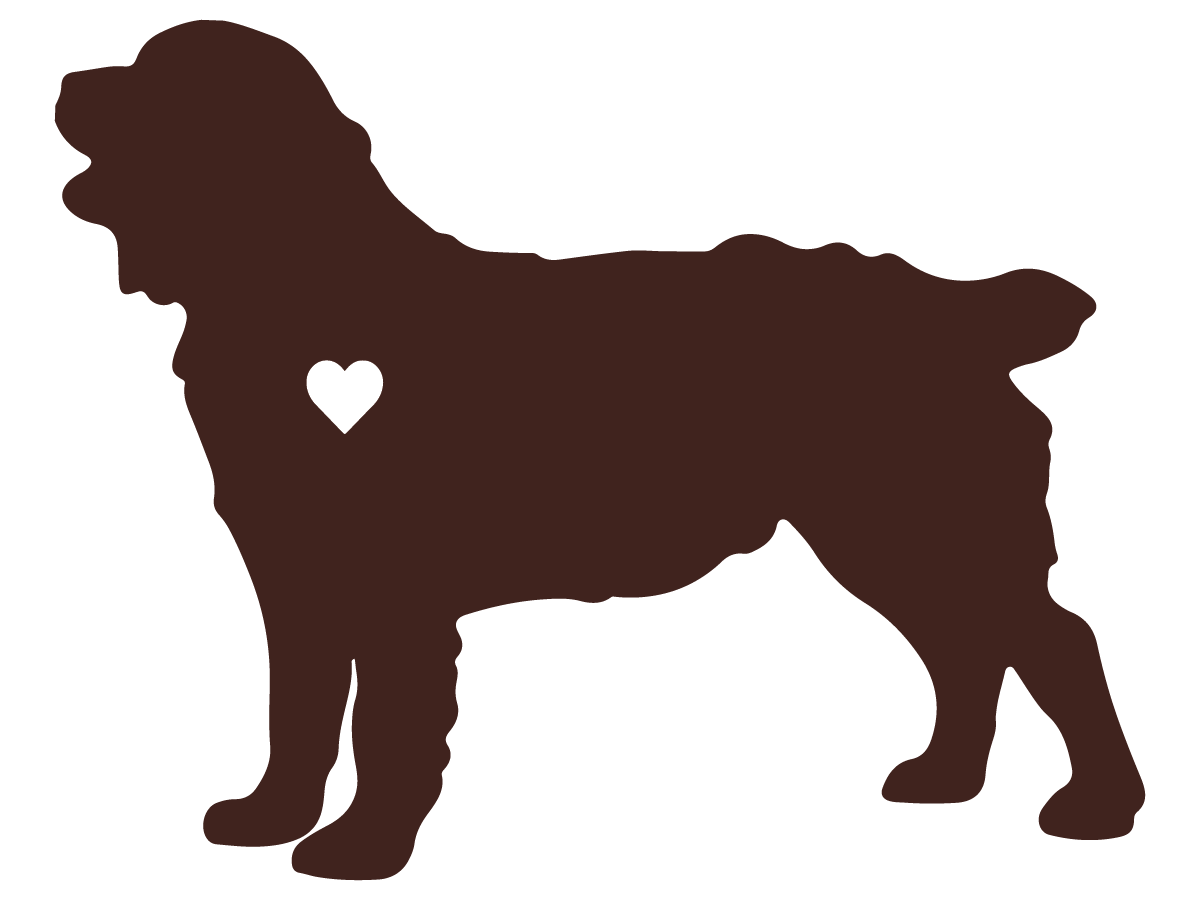 Boykin Spaniel Vinyl Decal - Heart of a Boykin