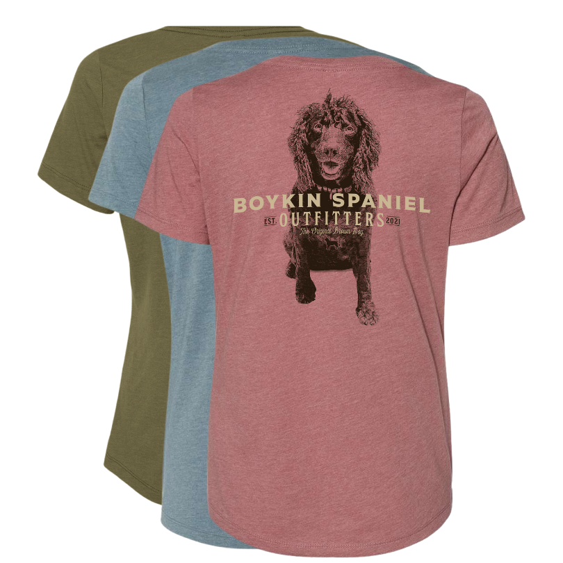 Women's Short Sleeve V-Neck Boykin Spaniel T-Shirt (3 colors)