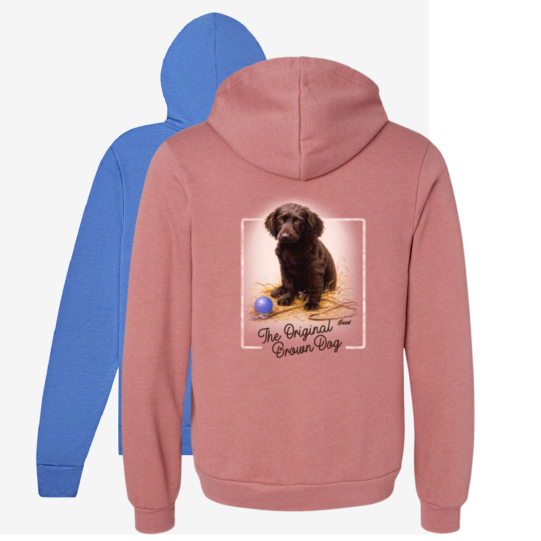 Late For School Boykin Puppy Hoodie Boykin Spaniel Outfitters late-for-school-boykin-puppy-hoodie-boykin-spaniel-outfitters