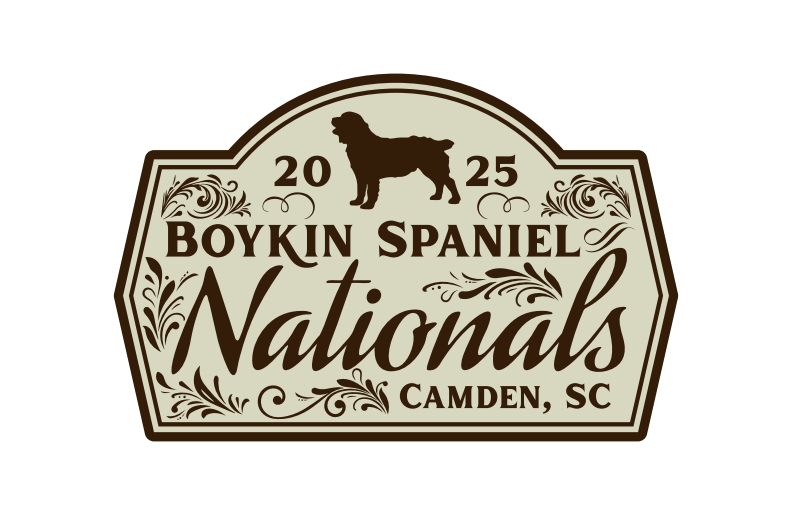 2025 BSS Nationals Patch