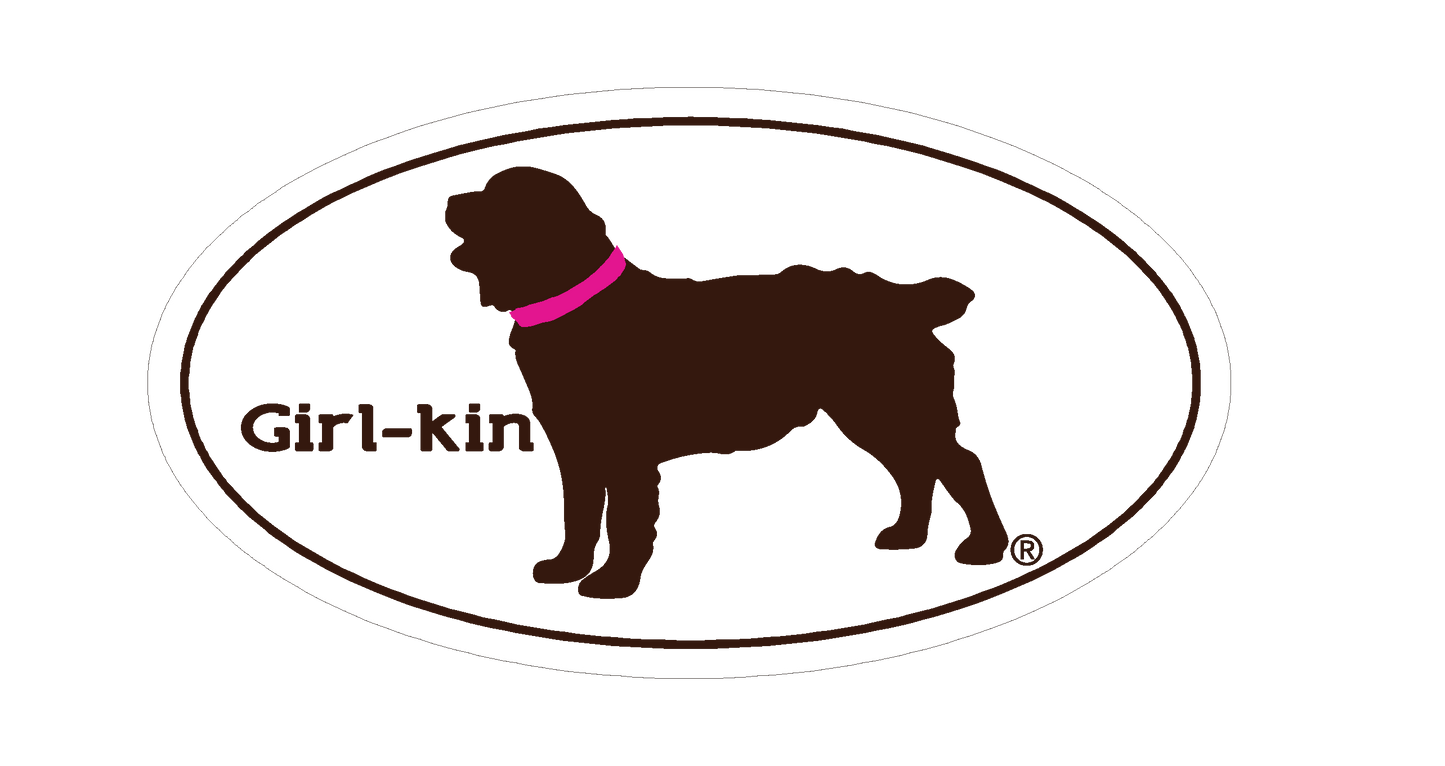 Official Boykin Spaniel Society Vinyl Decals (11 Designs)
