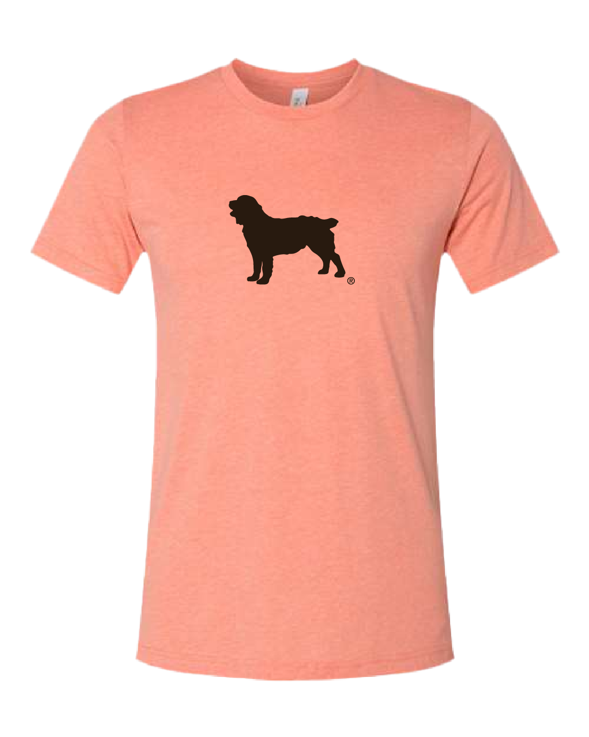 Short Sleeve T-Shirt Boykin Spaniel Society Official Silhouette (4 colors)