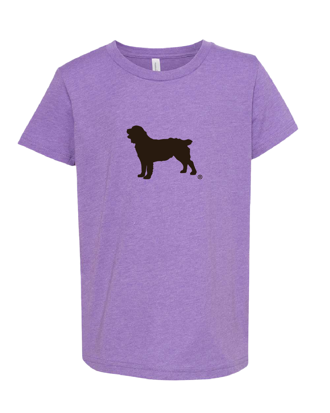 Youth Short Sleeve T-Shirt Boykin Spaniel Society Official Silhouette