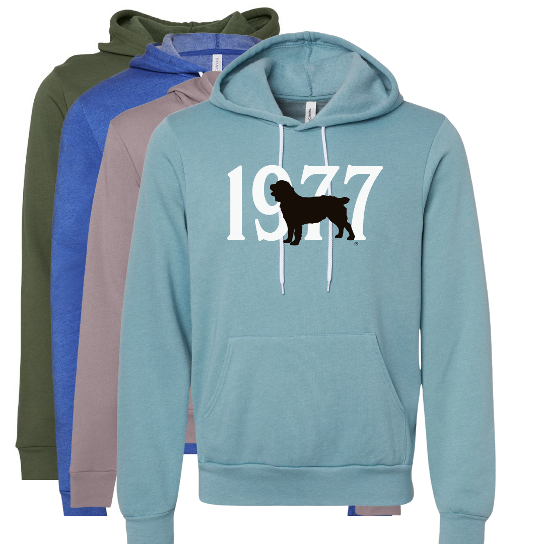 Hoodie - Boykin Spaniel 1977 (10 colors)