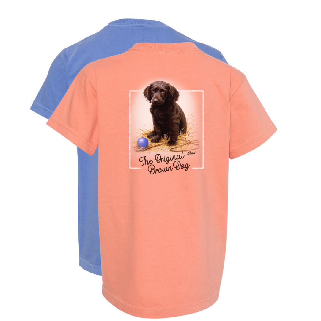 Boykin Spaniel tshirt Boykin Spaniel youth shirt