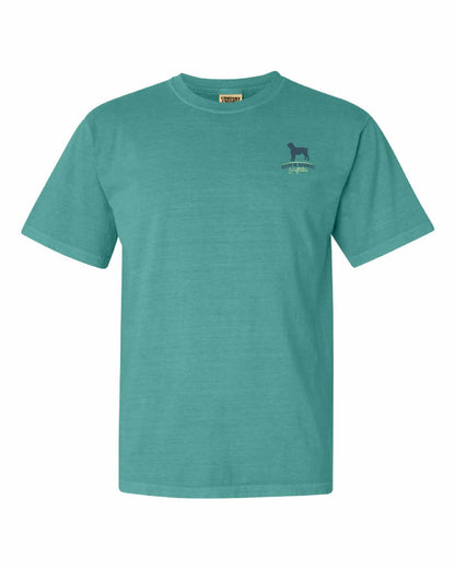 Comfort Colors® Heavyweight Ring Spun Tee - Boykin Spaniel Postcard Design