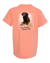 Load image into Gallery viewer, Late for School - Boykin Spaniel Puppy YOUTH Ring Spun Cotton Tee
