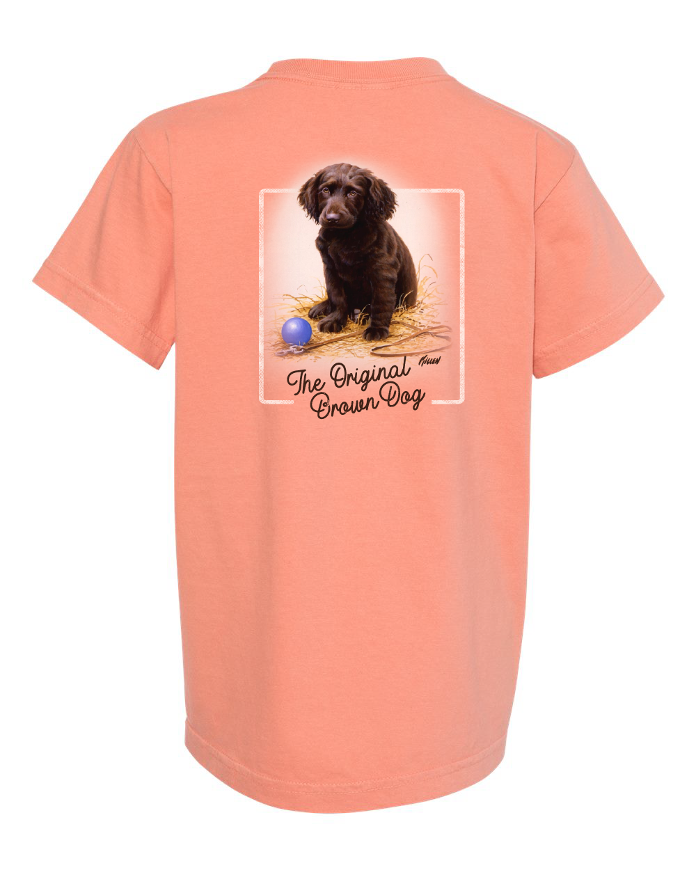 Late for School - Boykin Spaniel Puppy YOUTH Ring Spun Cotton Tee