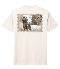 Load image into Gallery viewer, Boykin Spaniel Triblend T-Shirt - Iconic Boykin Stamp Design
