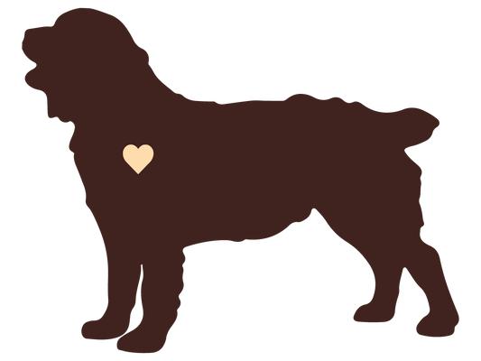 Boykin Spaniel Vinyl Decal - Heart of a Boykin