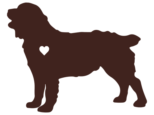 Boykin Spaniel Vinyl Decal - Heart of a Boykin