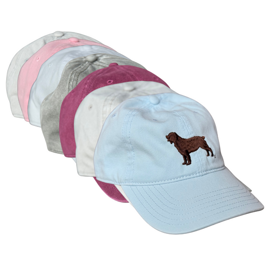 Richardson 326 Cap – Boykin Spaniel Society Embroidery