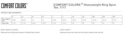 Comfort Colors® Heavyweight Ring Spun Tee - Boykin Spaniel Postcard Design