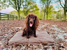 Load image into Gallery viewer, Outfitter Waxed Canvas Dog Bed
