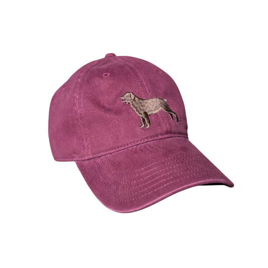 Richardson 326 Cap – Boykin Spaniel Society Embroidery