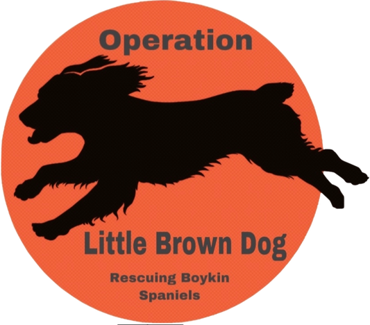 Donation to Operation Little Brown Dog