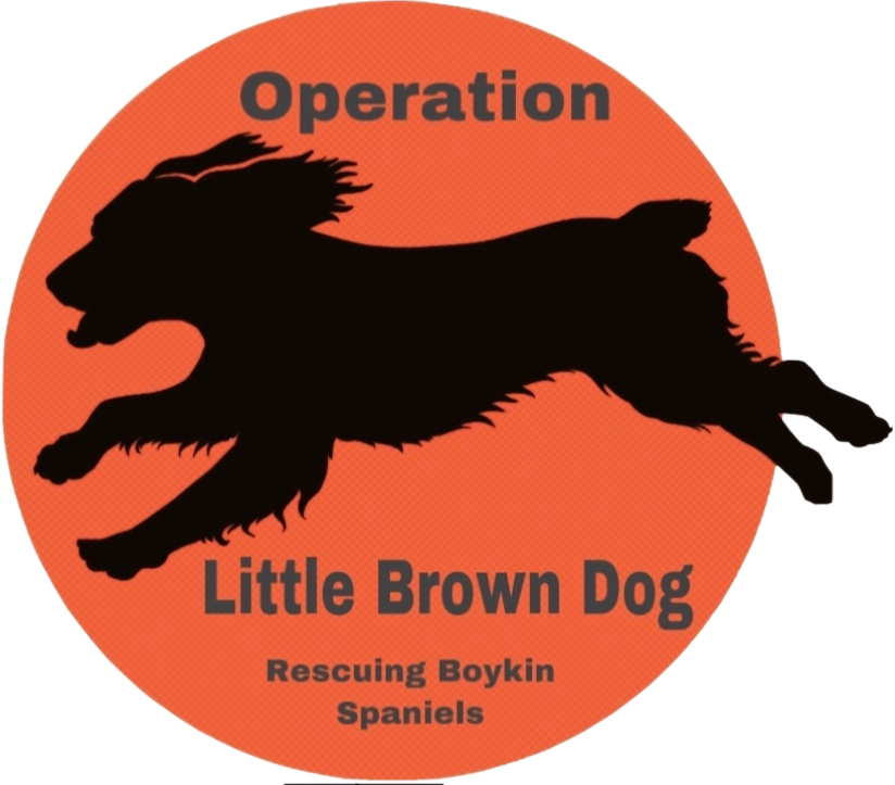 Donation to Operation Little Brown Dog