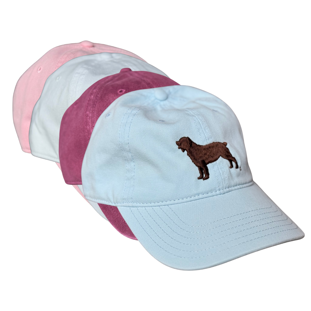 Richardson 326 Cap – Boykin Spaniel Society Embroidery