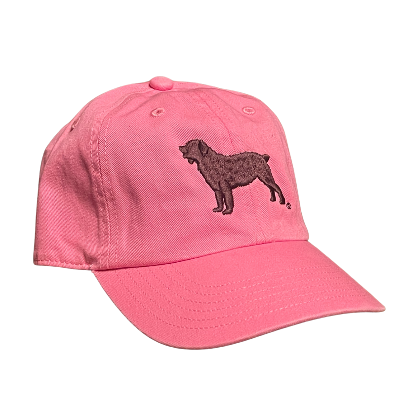 Richardson Toddler Chino Hat with Boykin Spaniel Society Official Silhouette