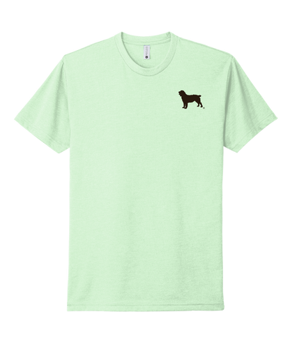 Mint Green Boykin Spaniel Society official logo t-shirt