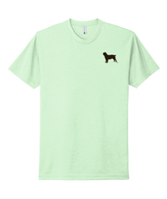 Load image into Gallery viewer, Mint Green Boykin Spaniel Society official logo t-shirt
