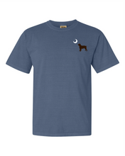 Load image into Gallery viewer, Youth Comfort Colors ® Heavyweight Ring Spun Tee - South Carolina Boykin Spaniel (Blue Jean)
