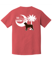 Load image into Gallery viewer, Youth Comfort Colors ® Heavyweight Ring Spun Tee - South Carolina Boykin Spaniel (Watermelon)
