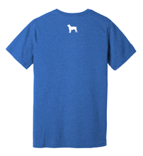 Load image into Gallery viewer, Short Sleeve T-Shirt Boykin - South Carolina&#39;s State Dog (3 colors) LI
