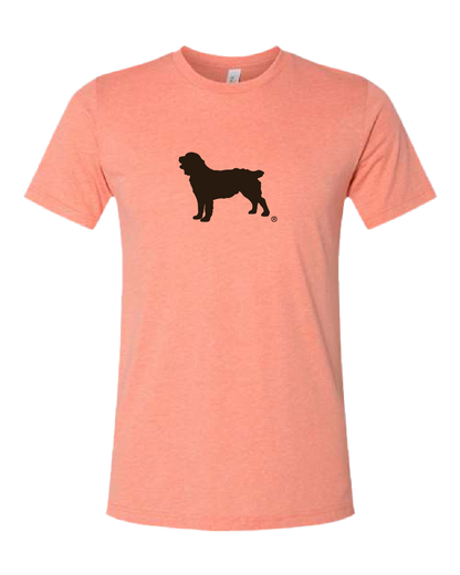 Short Sleeve T-Shirt Boykin Spaniel Society Official Silhouette (4 colors)