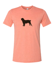 Load image into Gallery viewer, Short Sleeve T-Shirt Boykin Spaniel Society Official Silhouette (4 colors)
