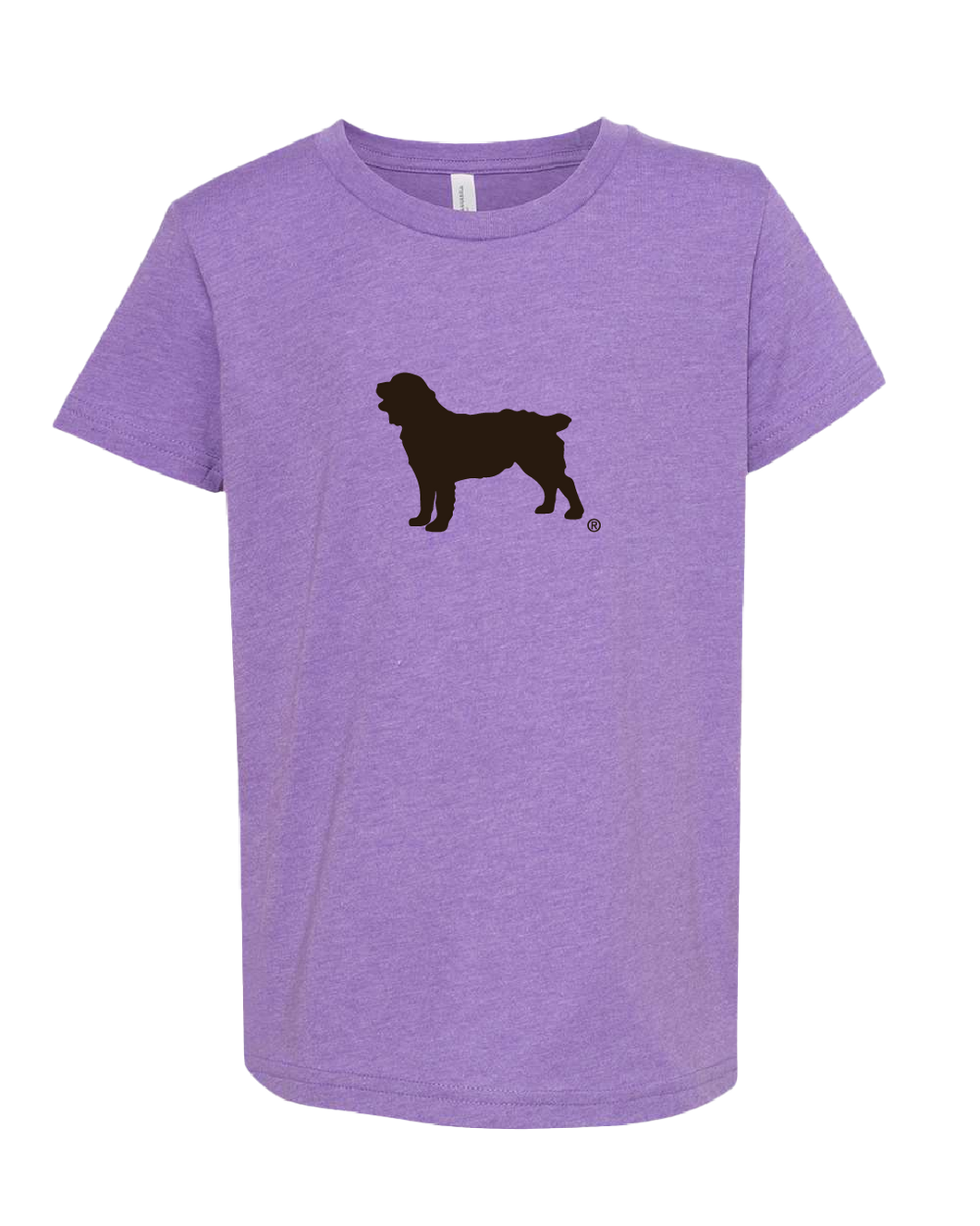Youth Short Sleeve T-Shirt Boykin Spaniel Society Official Silhouette