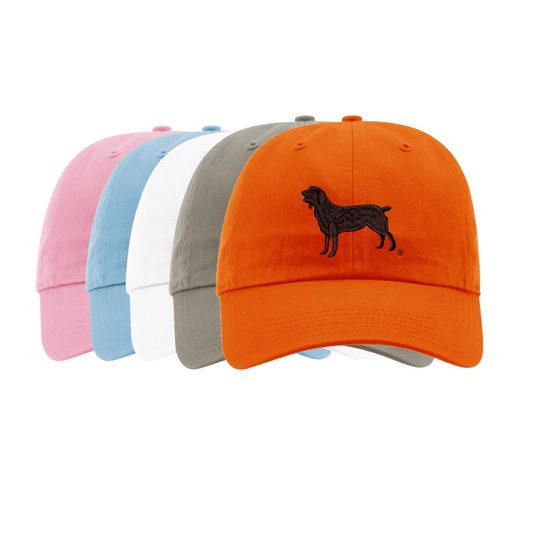 Richardson Washed Chino with Boykin Spaniel Society Official Silhouette (5 colors)
