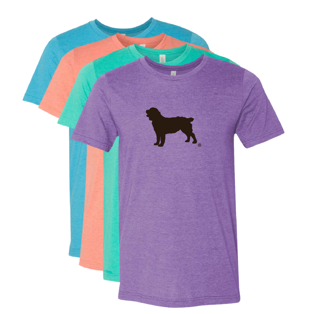 Short Sleeve T-Shirt Boykin Spaniel Society Official Silhouette (4 colors)