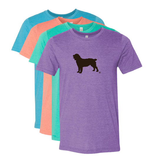 Short Sleeve T-Shirt Boykin Spaniel Society Official Silhouette (4 colors)