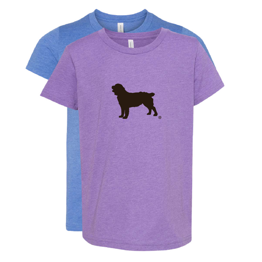 Youth Short Sleeve T-Shirt Boykin Spaniel Society Official Silhouette