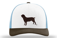 Load image into Gallery viewer, Richardson 115 Trucker - Boykin Spaniel Society Official Silhouette (2 styles)
